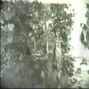 Hiawatha Wooing