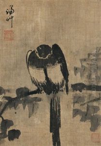 Bird Falling Asleep Bird Falling Asleep