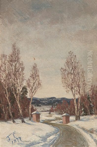 Wintry Road - view 1