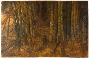 A Study Of Bamboo