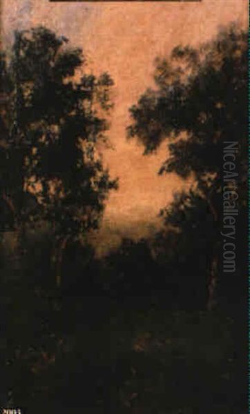 Landscape - view 1