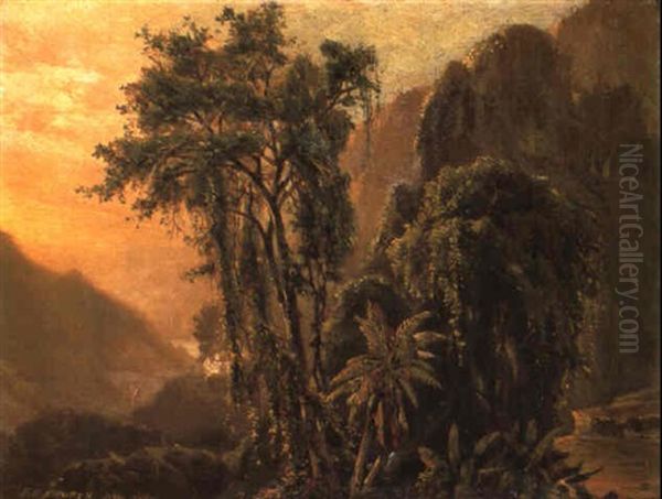 A Glimpse Of The Caribbean Sea From The Jamaica Mountains - view 1