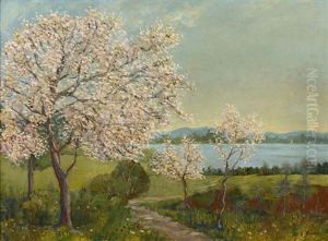 Arbres En Fleurs