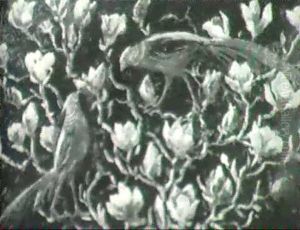 Birds And Blossoms by Frederick Stuart Church