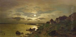Flusslandschaft An Der Donau Bei Vollmond