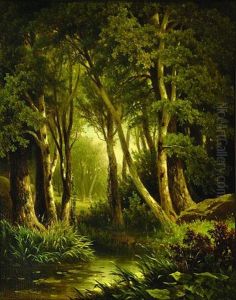 Forest Interior