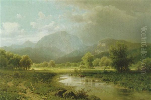 Gebirgstal Mit Kuhen An Der Tranke In Seichtem Wasser Eines Teiches - view 1