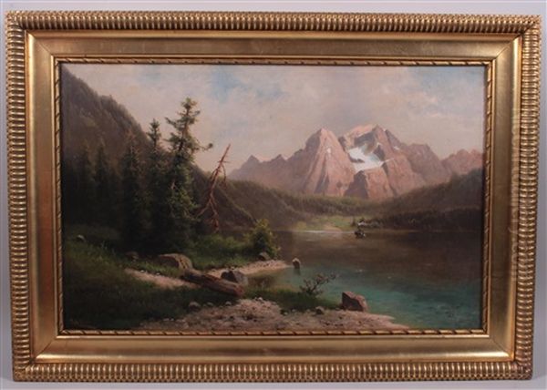 Gebirgssee Mit Dampfer - view 1