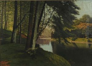 Reflections In A Forest by Fritz Chwala