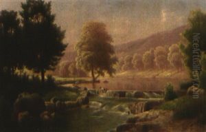 Flusslandschaft Mit Kleinem Katarakt An Einem Sommertag Flusslandschaft Mit Kleinem Katarakt An Einem Sommertag
