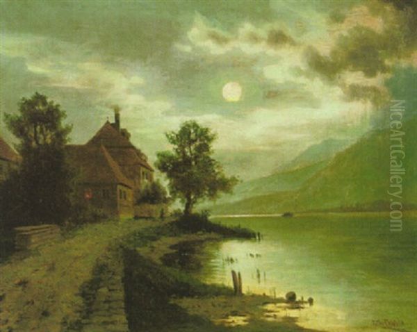 Mondnacht Bei Marbach An Der Donau - view 1