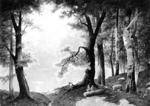 Teichlandschaft Teichlandschaft