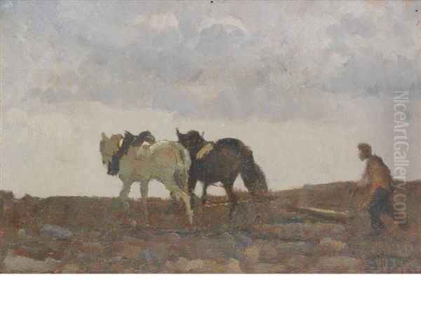 Ploughing - view 1