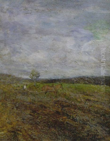 Lavoro Nei Campi - view 1