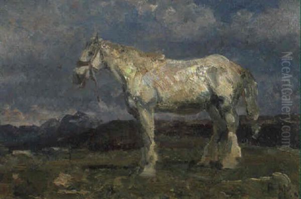 Cavallo Bianco Nel Paesaggio - view 1