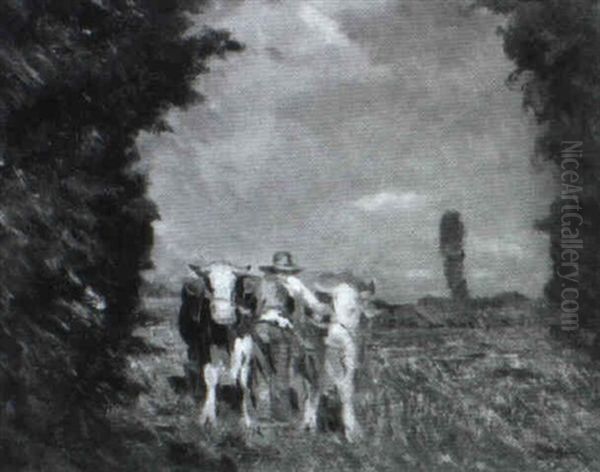Buoi Che Arano - view 1