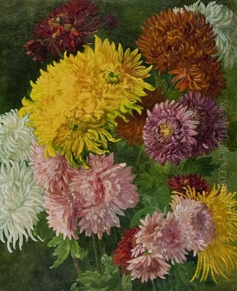 Dalia (crisantemi) - view 1