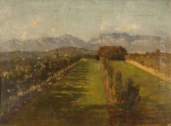 Paesaggio Pedemontano - view 1