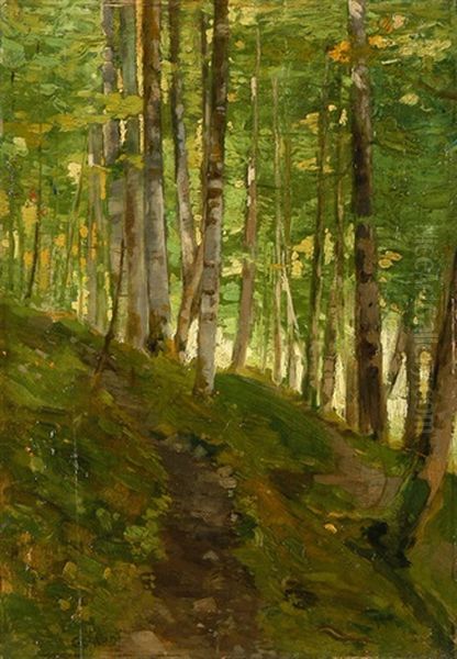 Waldlandschaft - view 1