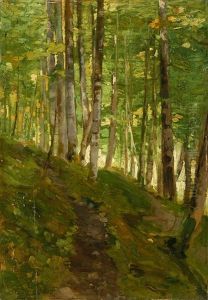 Waldlandschaft Waldlandschaft