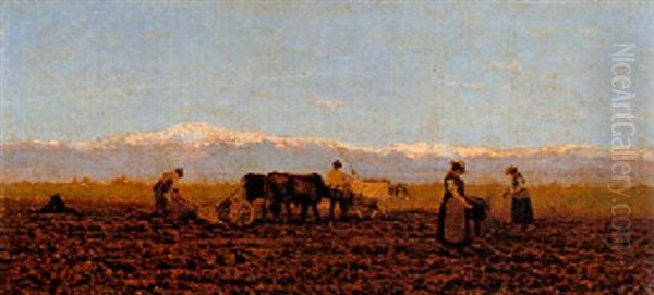 L'aratura - view 1