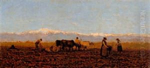 L'aratura L'aratura