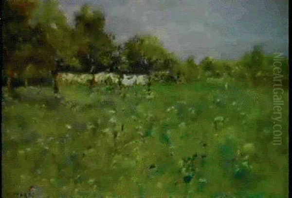 Studio Di Campagna - view 1