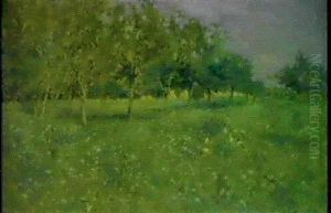 Il Sole D'estate Il Sole D'estate