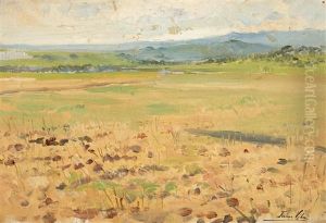 Paisaje by Joan Vila Cinca