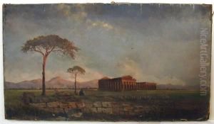 Sheppard With Sheep, Colosseum In Background