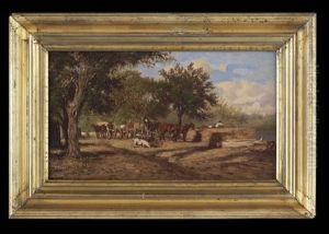 Sawmill Near Madisonville