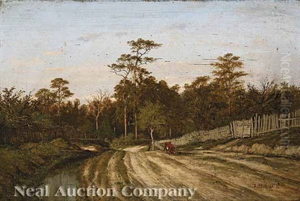 Cow Grazing On The North Shore, St. Tammany Parish, Louisiana - view 1