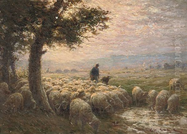 A Flock Of Sheep At Dusk - view 1