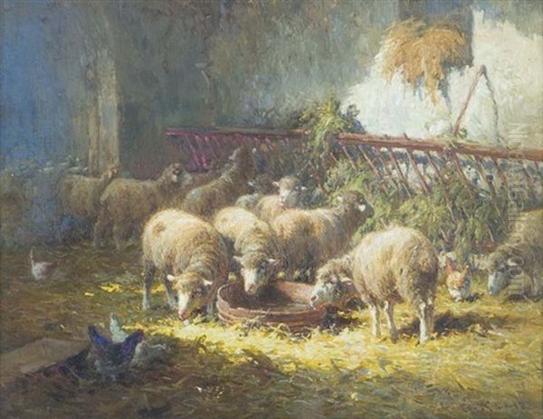 Sheep Feeding - view 1