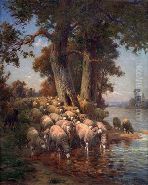 Troupeau De Moutons Sous Le Grand Chene Au Bord De La Riviere - view 1