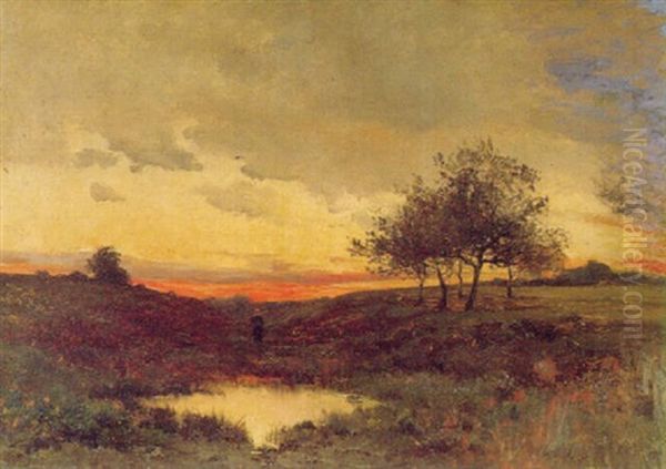 Paysage Soleil Couchant - view 1