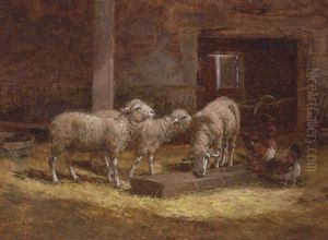Sheep And Chickens In A Barn by Charles H. Clair