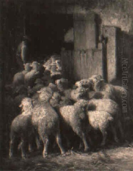 Moutons Rentrant Dans La Bergerie - view 1