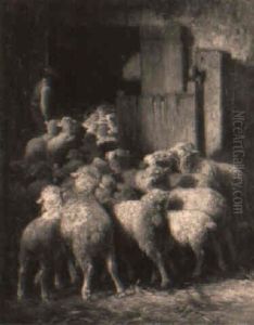 Moutons Rentrant Dans La Bergerie Moutons Rentrant Dans La Bergerie