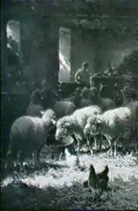 Stable Scene With Sheep And Chickens by Charles H. Clair