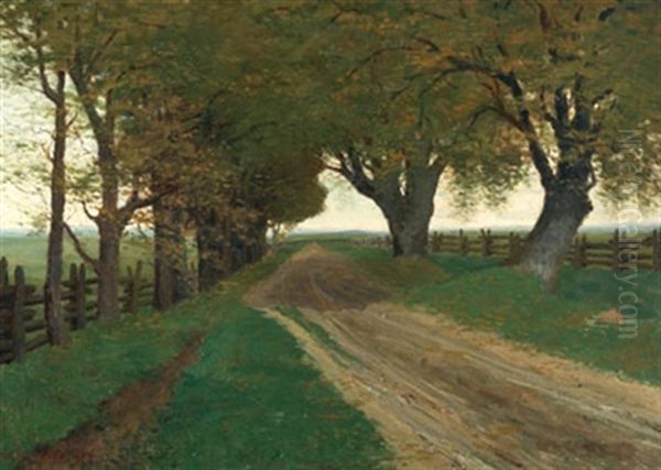 Tree-lined Road - view 1
