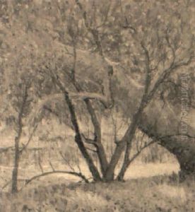 Trees Trees