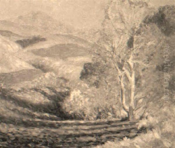 Autumn Hills - view 1
