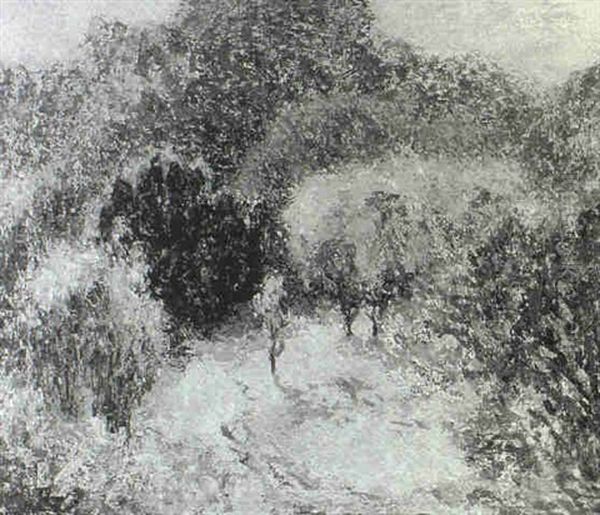 Bright Clearing In The Forest - view 1