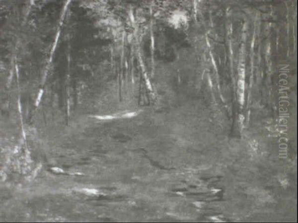 Sunlight And Shadows - view 1