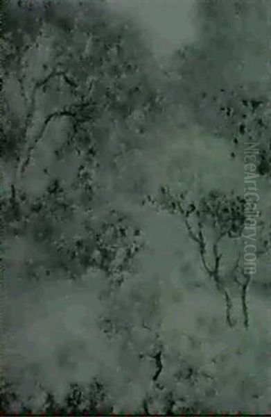 Flowering Trees - view 1