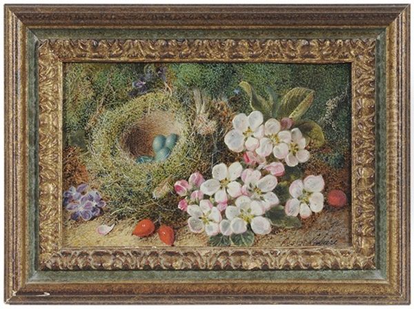 Woodland Still Life - view 1