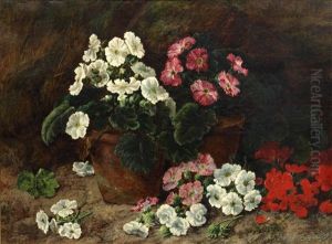 White, Pink And Red Nasturtiums
