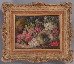 Still Life Of Flowers And Nest Still Life Of Flowers And Nest