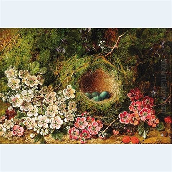 Bird's Nest And Spring Blossoms On A Mossy Bank - view 1